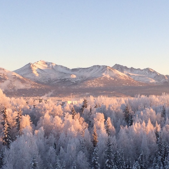 Meet your Posher, Cecila - Picture 1 of 1